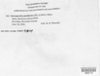 Image Associated With the Occurence